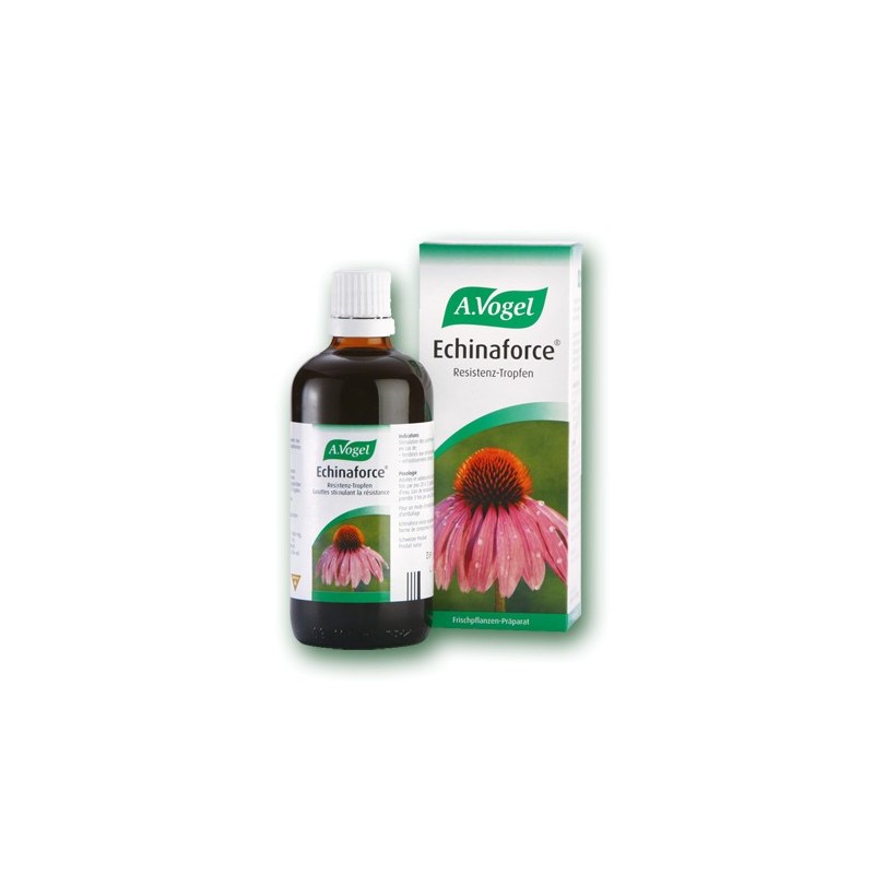 Echinaforce (Φυτικό αντιβιοτικό, αντιικό), 50 ml, Avogel