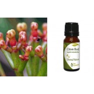 Αιθέριο Έλαιο Γαρύφαλλο Φύλλο  (Clove Leafe) 10 ml