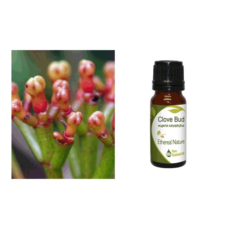Αιθέριο Έλαιο Γαρύφαλλο Φύλλο  (Clove Leafe) 10 ml