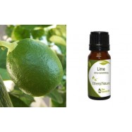 Αιθέριο Έλαιο Μοσχολέμονου (Lime) 10 ml