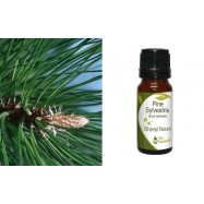 Αιθέριο Έλαιο Πεύκου (Pine) 10 ml