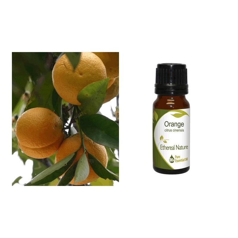 Αιθέριο Έλαιο Πορτοκάλι (Orange) 10 ml