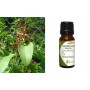 Αιθέριο Έλαιο Σανταλόξυλο (Sandalwood Amyris) 10 ml